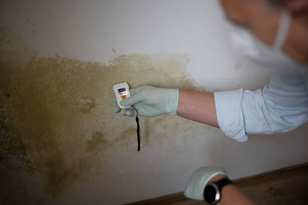 Best Crawl Space Mold Removal  in San Francisco, CA