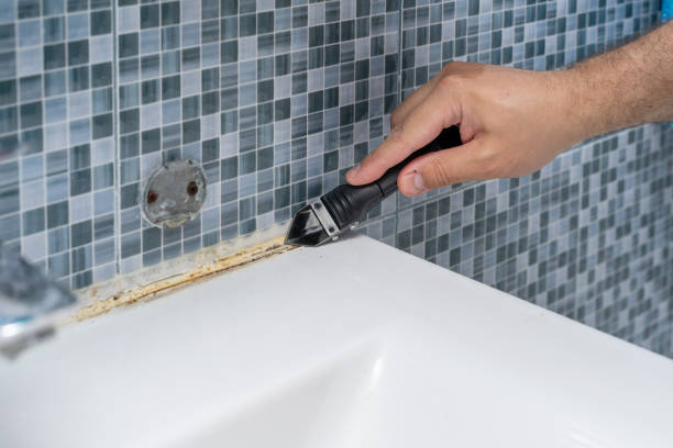 Mold Removal Process in San Francisco, CA